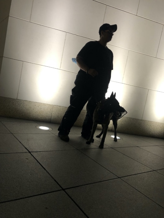 Security am Opernturm