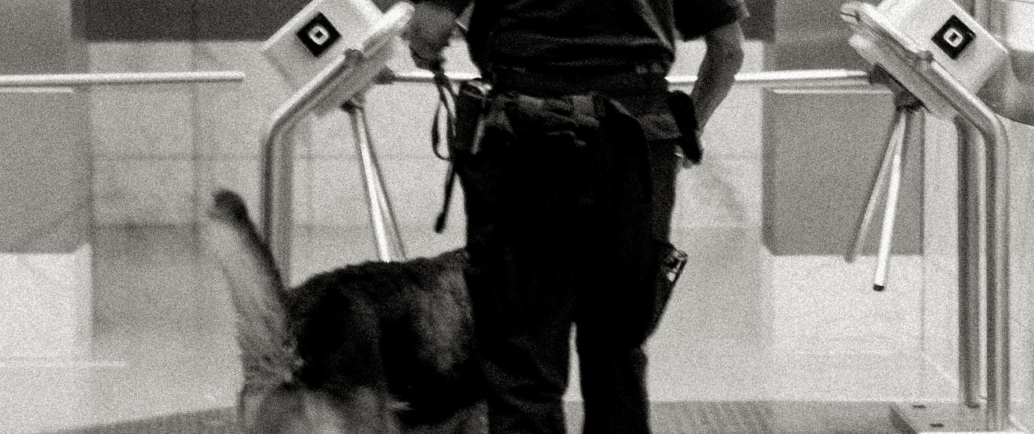 Dienst Diensthundeteam bei der Arbeit