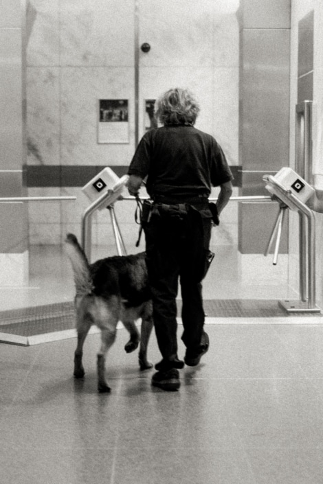 Dienst Diensthundeteam bei der Arbeit