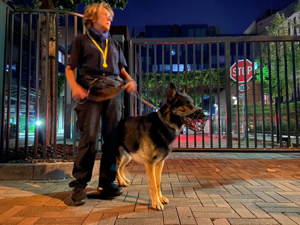 Diensthundeteam nachts in der Stadt