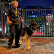 Diensthundeteam nachts in der Stadt