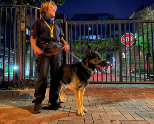 Diensthundeteam nachts in der Stadt