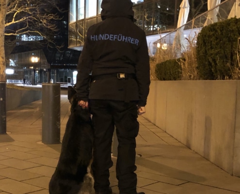 Diensthundeführer mit Hund