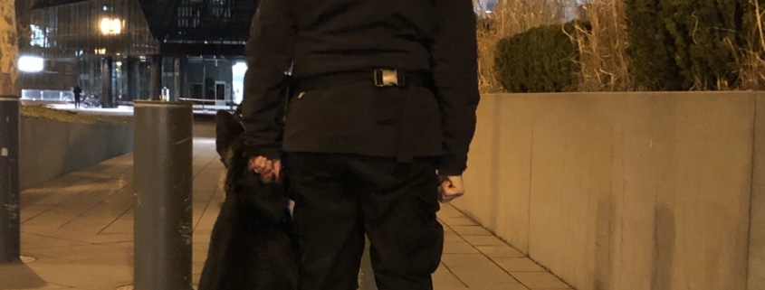 Diensthundeführer mit Hund