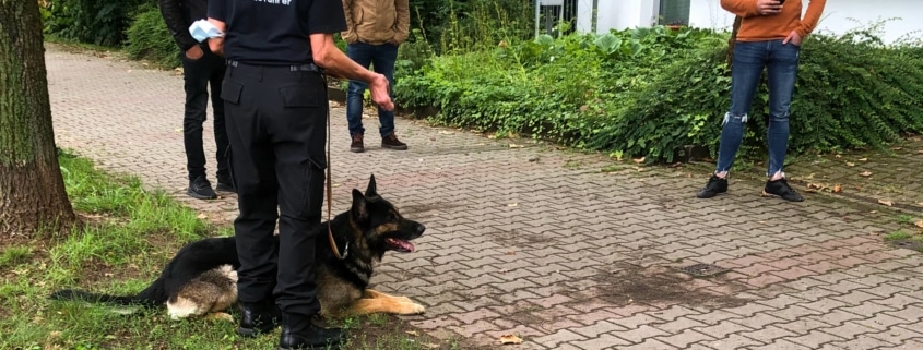 fachkräfte illustration